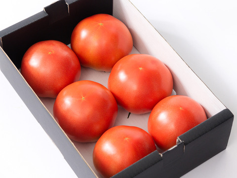 【夏ギフト】《超おいしい》旨味の強い大玉トマト（1～1.3kg）「熨斗対応可」