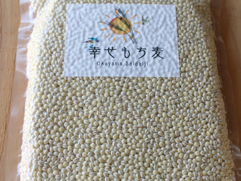 令和6年産　もちっプチっ食感が癖になる！岡山西大寺幸せもち麦（2kg（500ｇ×４））