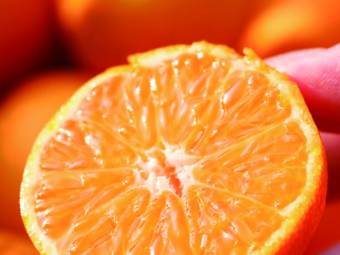 【ジャム・ケチャップセット】佐賀県太良町産いちごジャム140ｇ×2個・マーマレード140ｇ×2個・トマトケチャップ300ｇセット