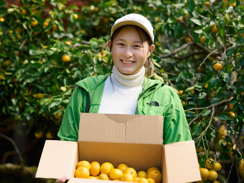 完熟ゆこう　5000g
生産量が少なくスーパーでは出回らない「幻の果実」京都の料亭では欠かせない存在であり、近年はヨーロッパのシェフたちにも愛さるローカル柑橘