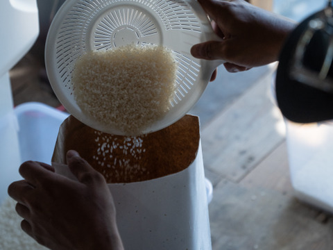 【 玄米 5kg 】天寿米 (栽培期間中農薬化学肥料不使用)