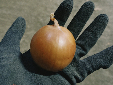 リピーター様限定