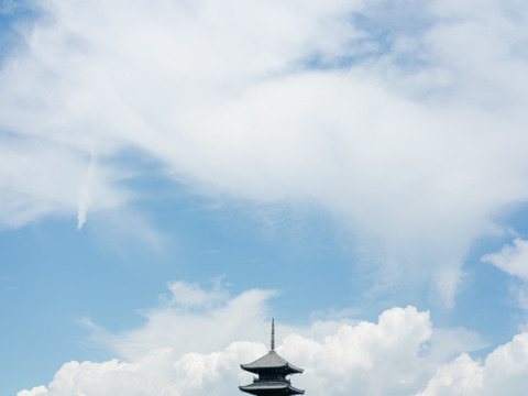 【夏ギフト:７月中旬発送・化粧箱入り】桃の女王・果汁がジュワッと溢れでる『清水白桃』5〜10玉（贈答用・熨斗対応可）