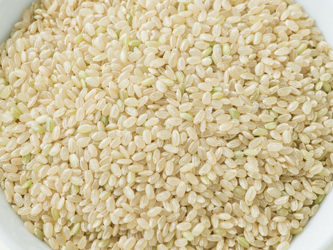 玄米 5kg 「夢しずく」新米「実り咲かす」特別栽培米（農薬・化学肥料不使用）