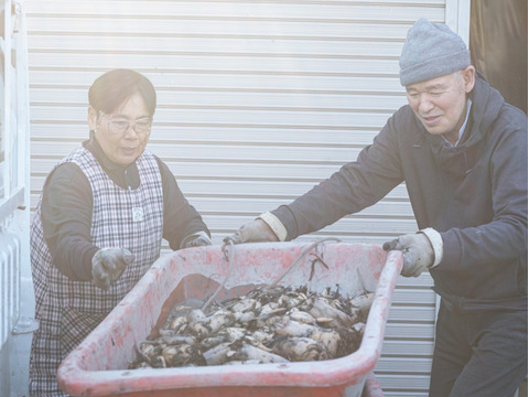 シャキモチ食感‼︎れんこん（大小込み）2kg