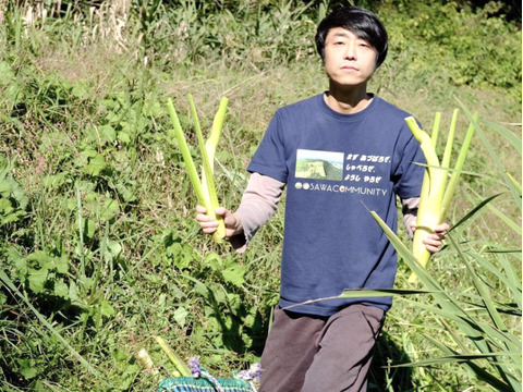 【山形県庄内産】マコモタケ（生 1kg）シャキシャキ食感！マコモダケ・真菰 - 山形県酒田市八幡地域