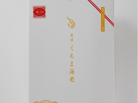 【活きたままお届け！】熊本・天草の車海老（15～20尾/500g）×2個