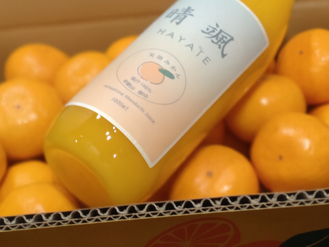 和歌山　天田みかん100％ジュース　1L