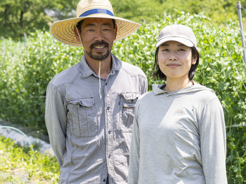 ❣️ハロウィンに❣️数量限定！【有機JAS】京都の伝統京野菜！貴重な京都産鹿ヶ谷カボチャ！もちろん美味しく食べられます！どれひとつとして同じ形がない個性派です！2個までなら同梱可能で送料お得！！