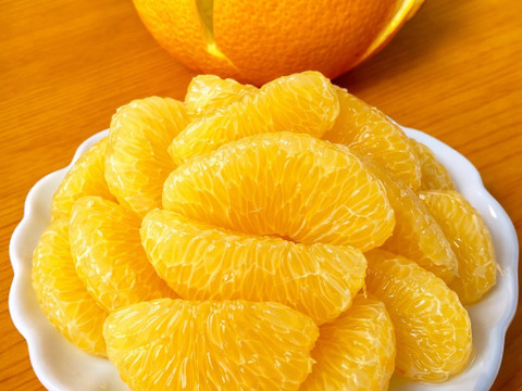 正直、今年は甘い｜和歌山はっさく 箱込み約5kg 糖度12度以上