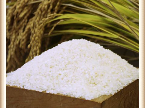 冷めてもおいしい！令和7年産 あさか舞 コシヒカリ 5kg｜【普通精米】｜注文後に精米して発送！お弁当・おにぎり・定番サイズ！｜福島県郡山市のブランド米｜エコファーマー認定