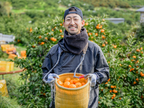 人気No.1手が止まらない有田みかん5kg！糖度11度〜