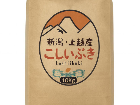 新潟県産,こしいぶき,和泉,10kg,令和7年新米,【受注後精米・農家直送】