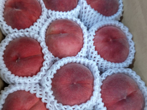 2箱分季節の白桃約2キロ5-10個入×2箱　訳あり家庭用  農薬半減栽培