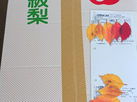 糖度13以上 BIGサイズ美味しい豊水梨5㎏箱 8～12個入り