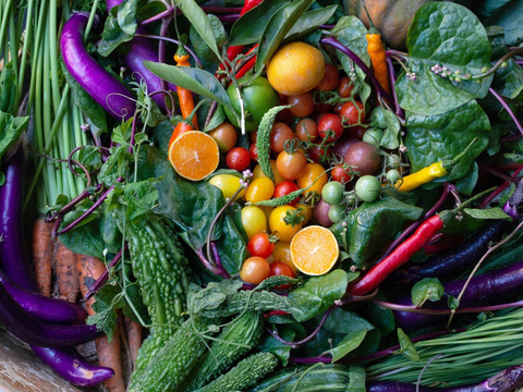 定期購入のみお野菜2500円セット
