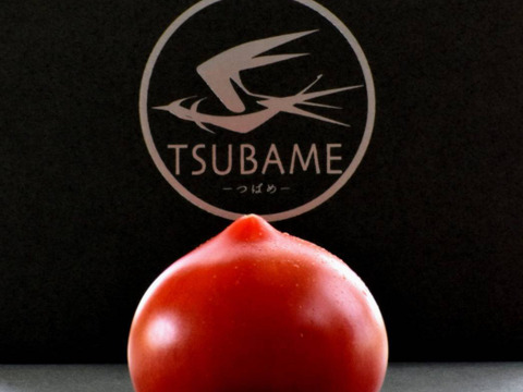 細野ファーム最高級ブランド【TSUBAME】フルーツトマト