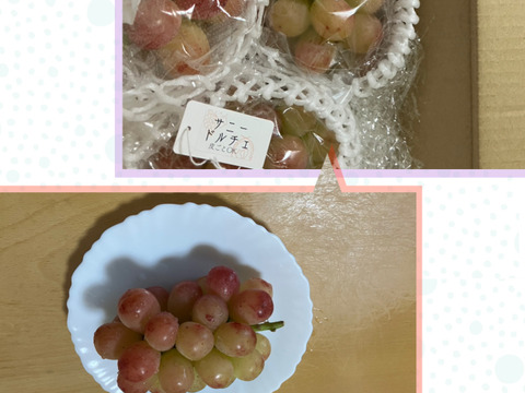 【おすすめ】太陽の恵みたっぷりサニードルチェ1㎏2～3房