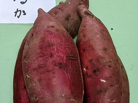 ねっとり甘い！さつまいも（紅はるか）１.８キロ【茨城県産】