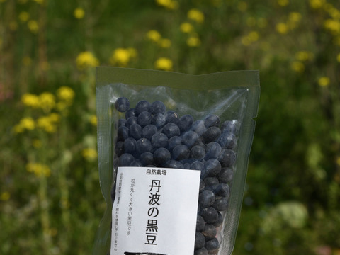 自然栽培　令年４年度丹波産コシヒカリ　9kg　＋　丹波産　自然栽培黒豆（250g）