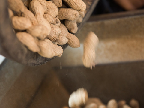 【落花生】炒りさやなかてゆたか 270g【2個セット】