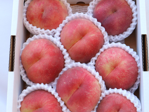 山形の夏ギフト・希少桃「陽夏妃」まもなく収穫！香り高く贈り物に喜ばれる逸品　２㎏