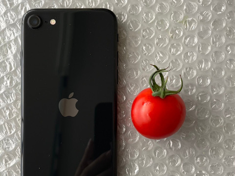 【糖度と旨味を凝縮！】👑こだわり👑アザミュートマト🍅0.8㎏