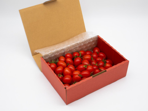 やみつきになるミニトマト－とまとのこころ（1㎏）