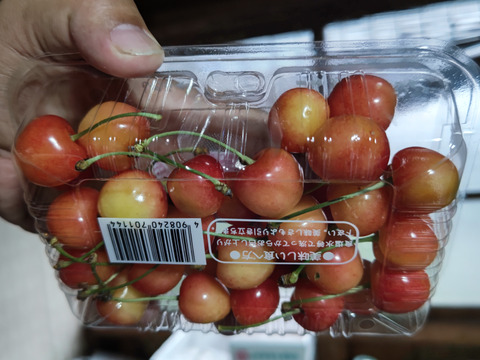 佐藤錦　◯秀以上　L以上　200 g×4パック