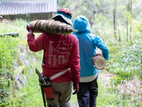 【メール便3袋セット】五香粉香る本格ルーロー飯 メンマ&キクラゲたっぷり