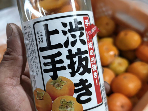 2箱分すぐ発送！完全農薬0栽培！　訳あり柿　渋抜き済み　箱込3.5キロ以上　安心安全な柿