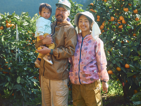 【有田みかん】果汁たっぷり！不知火デコ【また旅みかん】