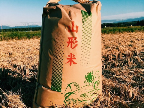 《コシヒカリ》【精米 10kg】【H30収穫】山形県飯豊町産