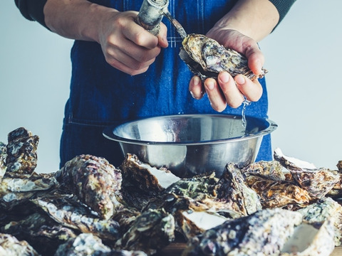 徹底浄化だからこそ安心して生で食べられる　美浄生牡蠣　殻付き　生食用牡蠣はもうすぐ終了