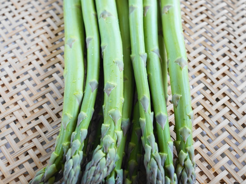 【お試し価格】群馬の高原農家がつくるみずみずしい優しい甘さのアスパラガス（サイズミックス）