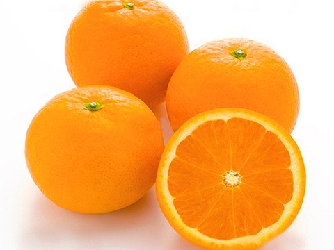 【予約】きよみ〈秀品・ギフトBOX〉約7.5kg　※発送は3月中旬頃～