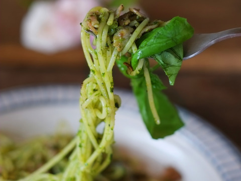 パスタでも中華でも　苦みと旨味の　リーフチコリ（カタローニャ）　250g