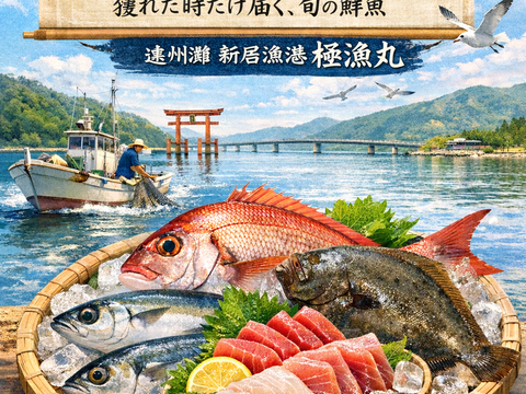 【獲れたら発送】魚介類鮮魚BOX