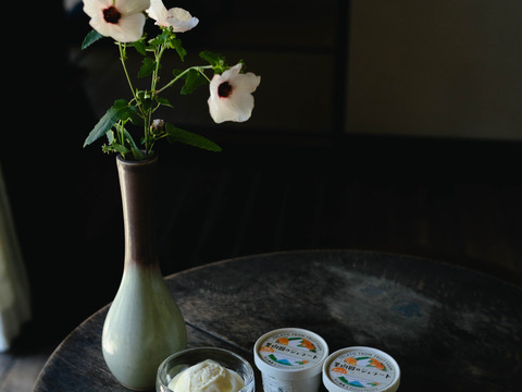 果樹園のジェラート『夏にさっぱりシャーベットおすすめセット』６個入り