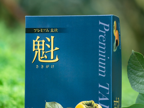プレミアム太秋”魁（さきがけ）”《特選２キロ （5～６個入り）化粧箱》糖度１８度以上！柿の概念を覆す 太秋柿