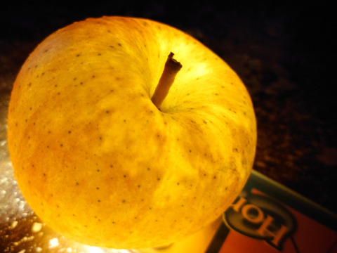 キセキの蜜入りりんご 家庭用・贈答用　こうとく2.5キロ〜3キロ