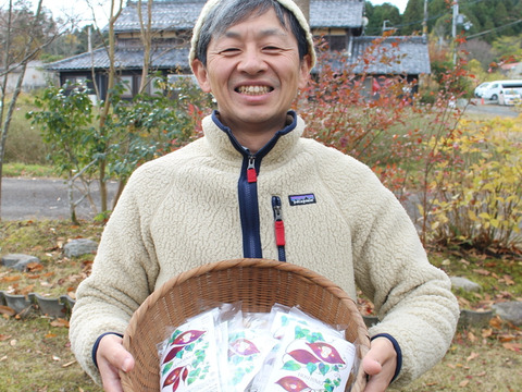 【期間限定・お買い得】紅はるか　干し芋　平干し（100g×5袋）