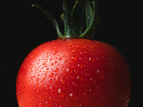 【糖度8以上保証】フルーツトマト「フルティカ」1kg×1箱～甘さと品質に自信あり～