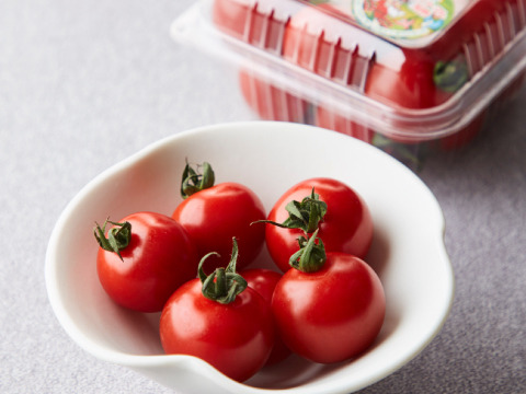 採れたての香り♪てっちゃんの完熟ミニトマト1kg（500g×2p）朝採り農園直送便