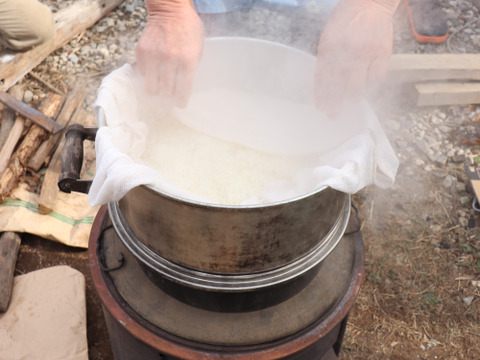 【令和7年産】農薬・化学肥料不使用　長野県産もち米【玄米3kg】