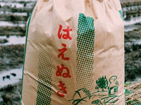 《はえぬき》【玄米10kg】【H30収穫】山形県飯豊町産