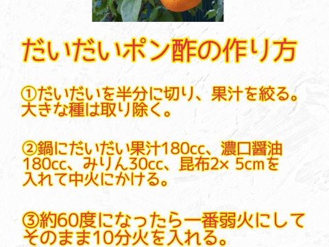 鹿児島県産「甘夏みかんと橙の詰め合わせ」10㎏