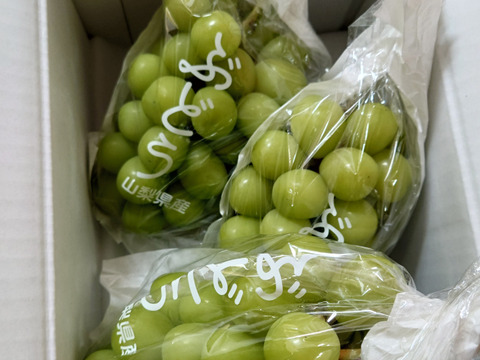 朝採り！産地直送】山梨県産のシャインマスカット 2kg（3~4房入