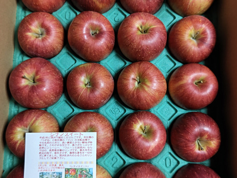 「シナノスイート」（甘い林檎です。）訳あり約5キロ　ご家庭専用まだまだ たく沢山食べたい5キロコース　（14から20玉）ご好評販売中