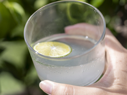 爽やかな香り！自然栽培摘果みかん　２ｋｇ